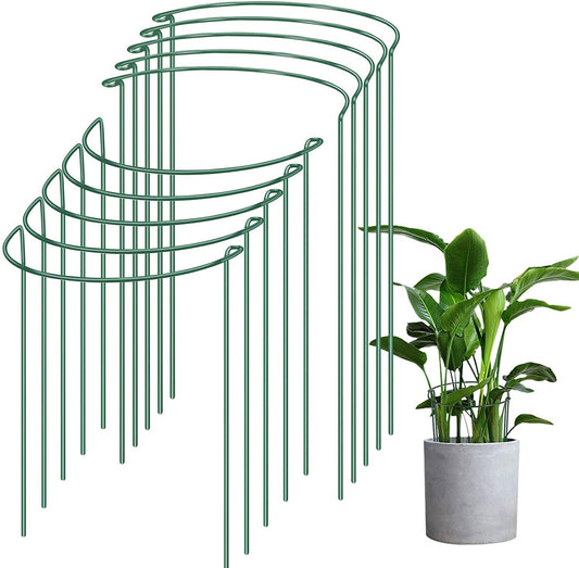 Plant Support Frame
